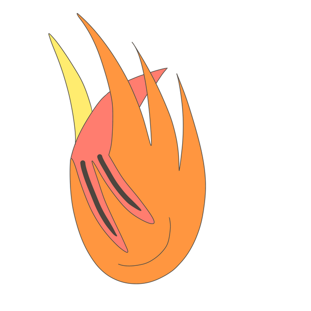Wisp