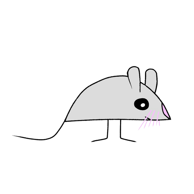 Squicks