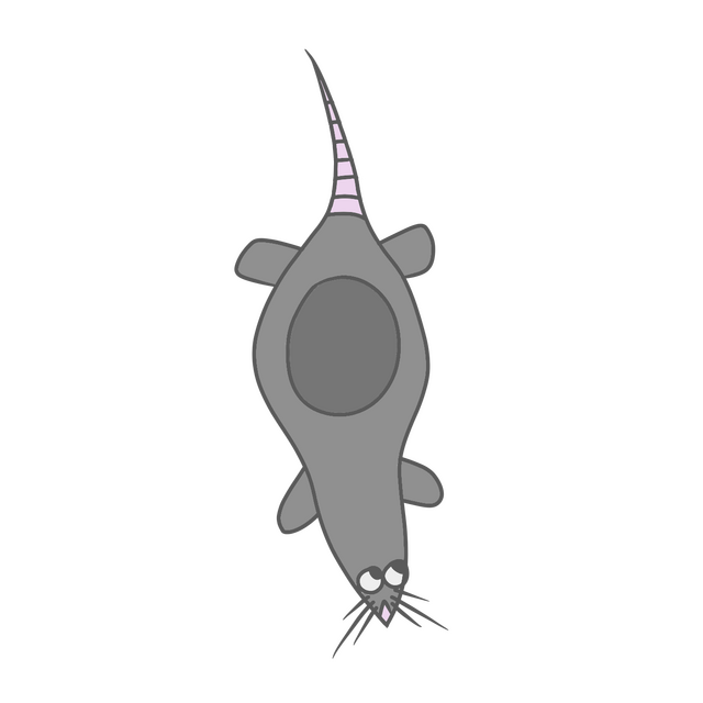 Bigbo Quest Companion Gorgonzola