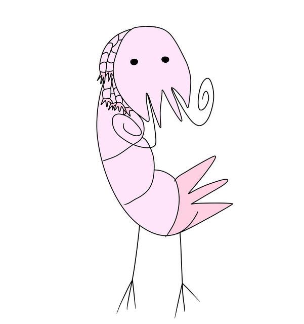 The Shrimplord